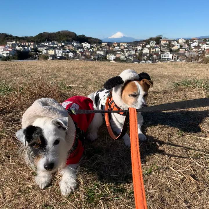 Cfe319da eb32 49fe b21f 8690f7138df3 1640568880250