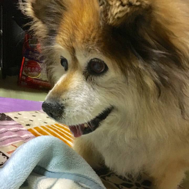 Cfe34caa 142c 4e17 b8de 77822656a72c 1608810673850