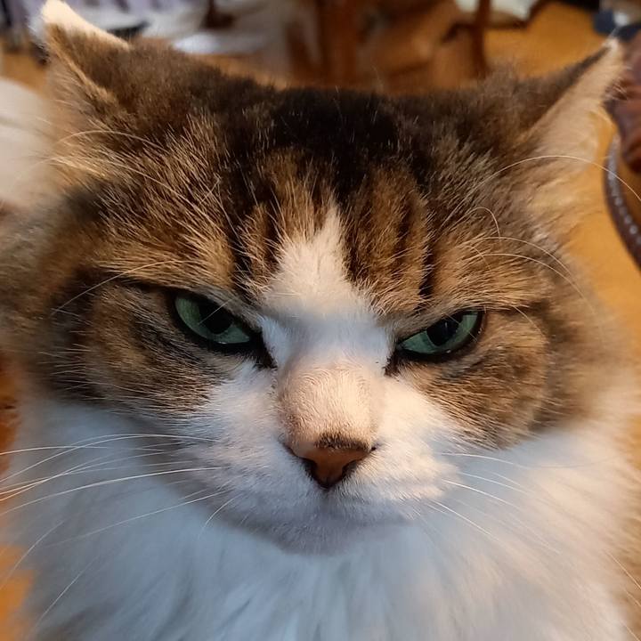 Cfe35879 b16e 45f9 b5d3 1f4fb3fe5c2b 1629504008858