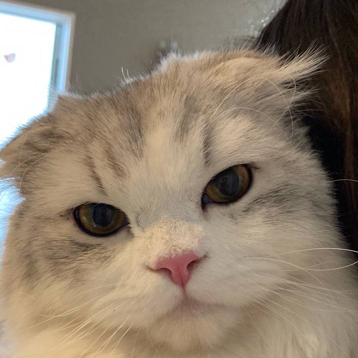 Cfe39bea 9d3b 4916 8ee9 49844f054f4e 1613220670461