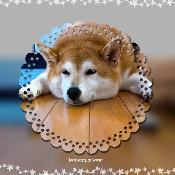 Cfe39ccd 75e7 48c0 bfdc 8676e29bd4fd 1694559273662