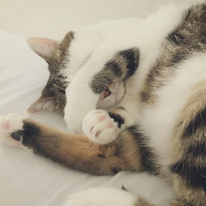 Cfe39eef 2835 4d38 8685 75a0dd5b5adf 1534476059549