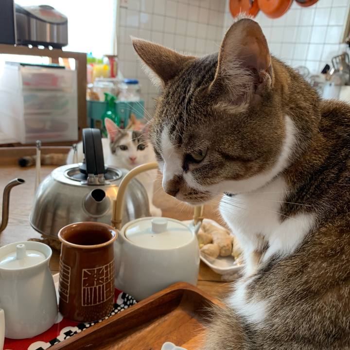 Cfe3d122 4259 4298 a265 0add4a68fe0e 1597210779904