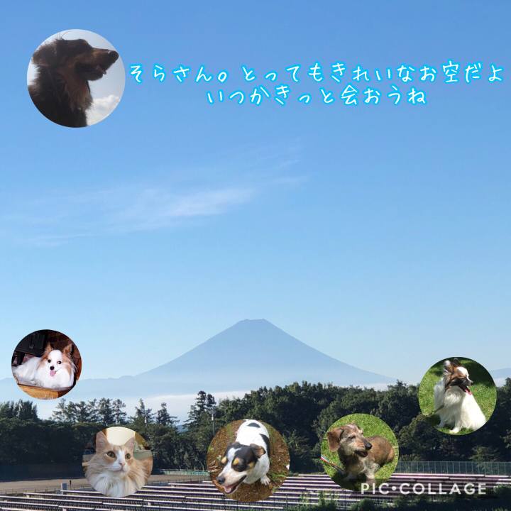 Cfe44779 1e4a 44b8 99b0 3d0dab6140f7 1535330112181