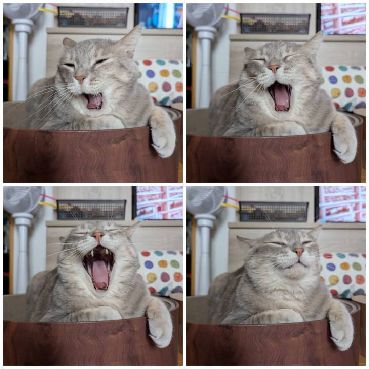 Cfe46621 df05 436d ab09 d7f083a1416a 1769866884777