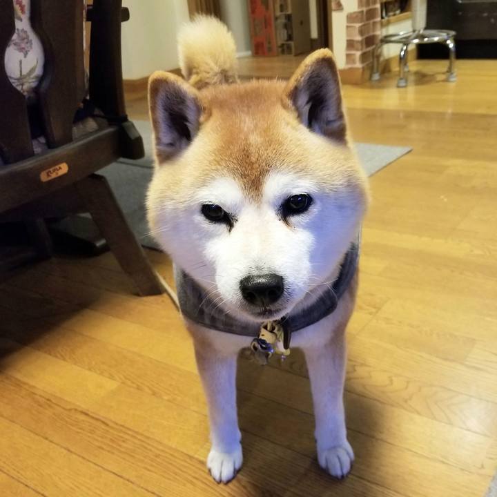 Cfe4934c 5599 40e5 b5d6 2c29101a39a3 1650101157482