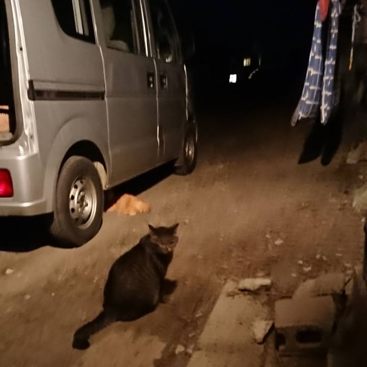 Cfe49e26 41ad 4abd a177 27f5052f724c 1660050312665