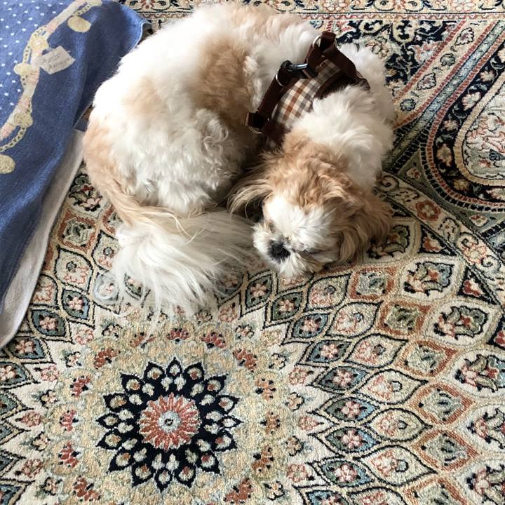 Cfe4b1df 3777 4938 bd08 7b96d2cc15eb 1539433142594