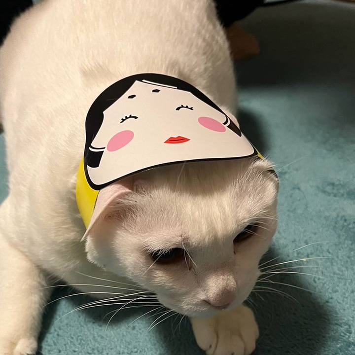 Cfe4b930 37a9 41dd ae2e 2d92332b256f 1706879761283