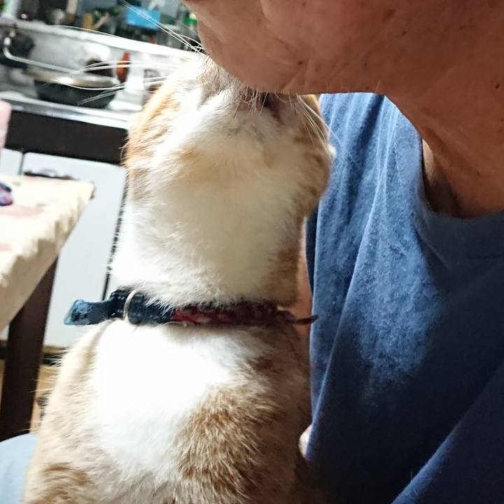 Cfe4cb36 db5b 4ad8 aa9c 3052d4d55c72 1599681512361