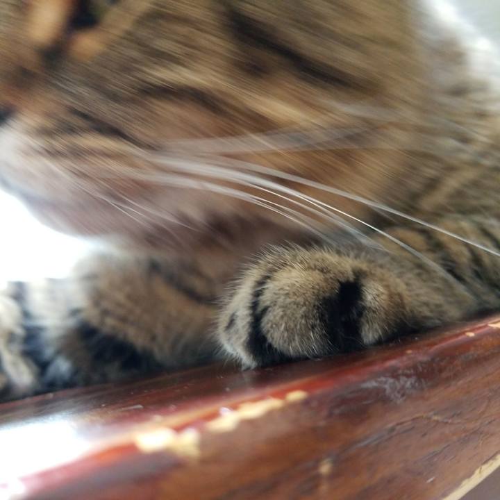 Cfe4cd43 fd14 47eb 9460 eff9b41c3d68 1569017612545