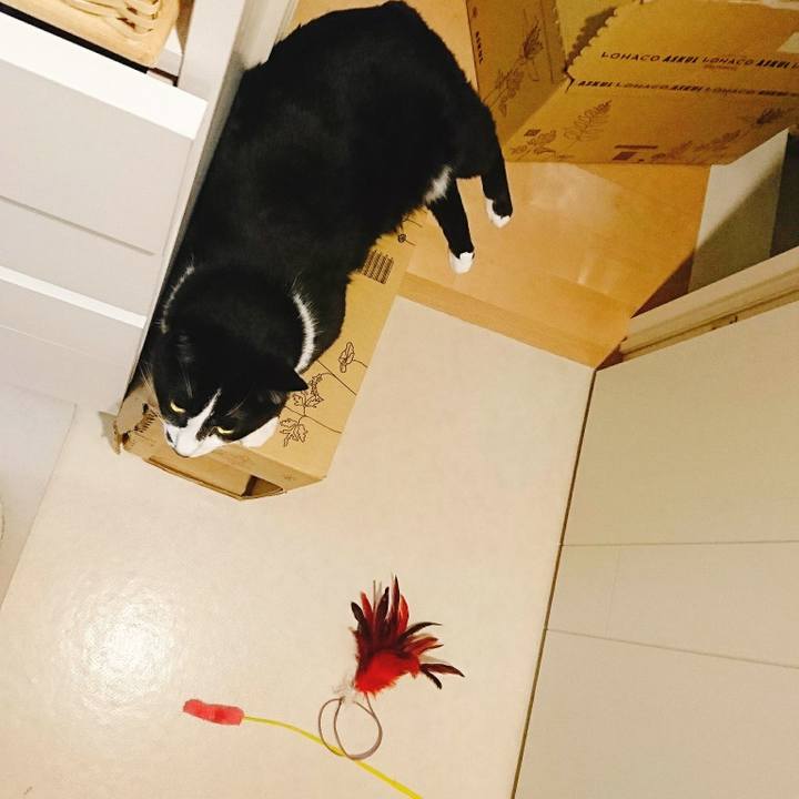 Cfe52170 f029 4fe7 85ed 8d633b7333c7 1527778077752