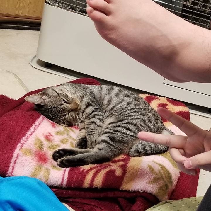 Cfe536af ee52 438c bf04 b73cbbd8d2b0 1682071022098