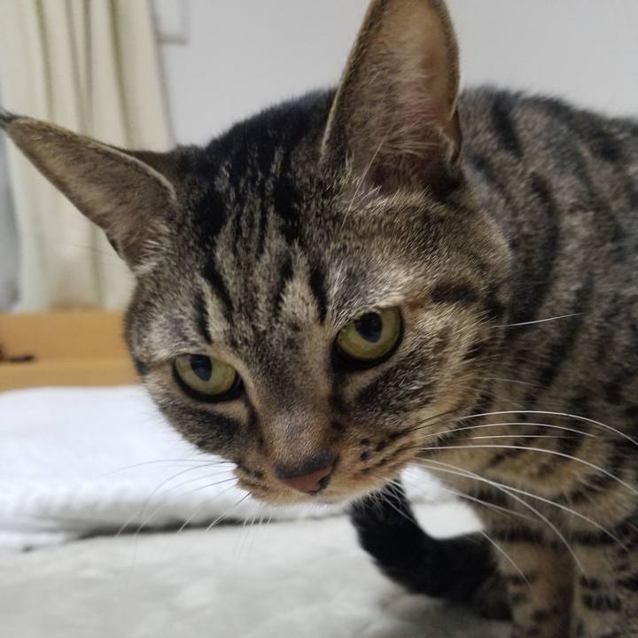 Cfe5508e c95f 43fa b408 a61ffee71359 1608154575503