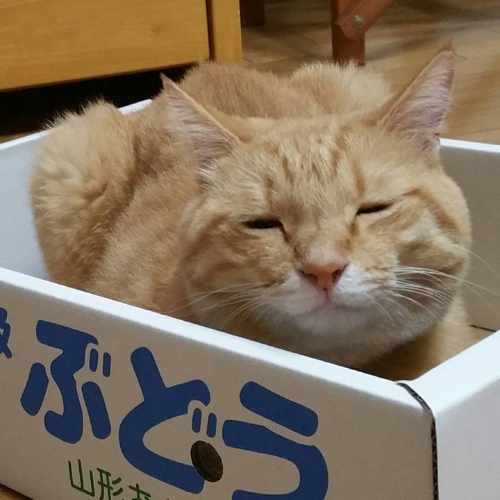 Cfe56383 6b2e 4ffa a400 b1f83af7f8b0 1536926865084