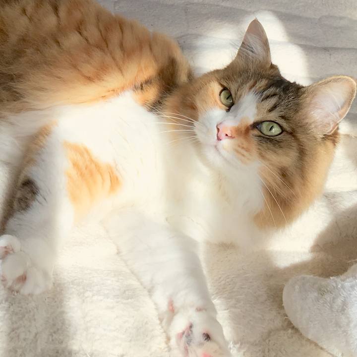 Cfe5775f 8b18 4324 8a01 7b0b93f08abe 1557006487131