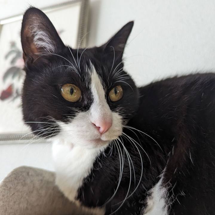 Cfe595be b575 4203 a4c9 5d408287a948 1714975641721