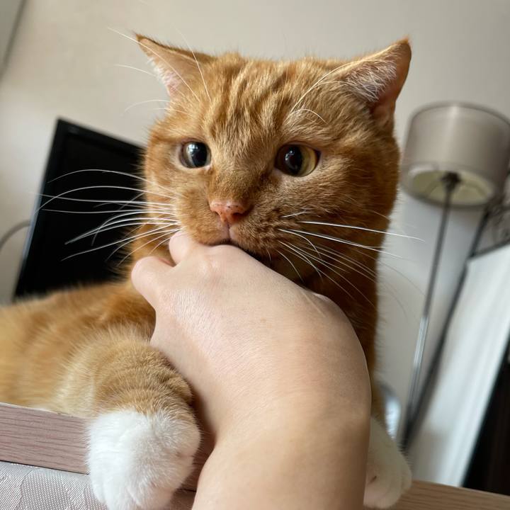 Cfe59771 0584 413e a2cf b18d2fdc64aa 1660443421566