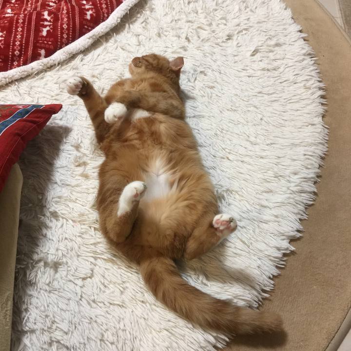 Cfe5a239 cdf0 492d 9db2 3ec9ee2fe52b 1587206430475