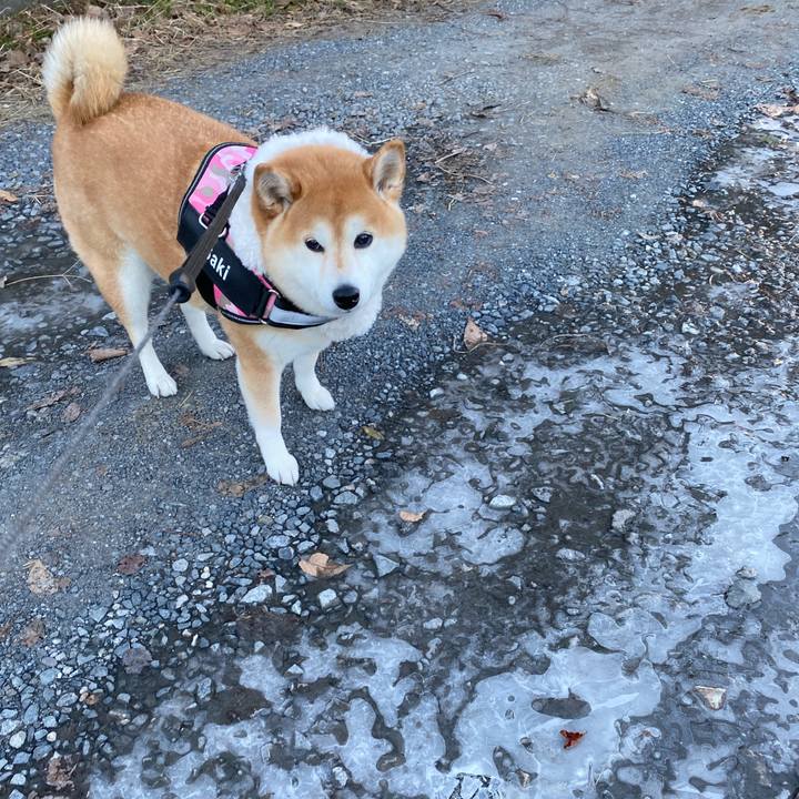 Cfe5b5e4 2119 49d9 929c 9dd4dda31ddf 1640614845143