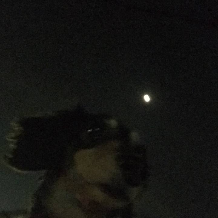 Cfe656e9 7ca2 4e98 9037 cdc2a3243ae8 1526907725566