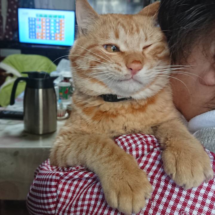 Cfe657ee 205f 45b9 a8e5 60ab3a04300c 1648335734330