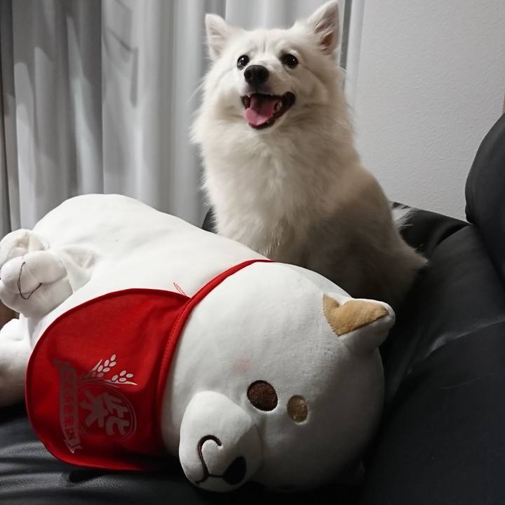 Cfe669fe 699d 4827 af62 b315719c4b89 1530623006697