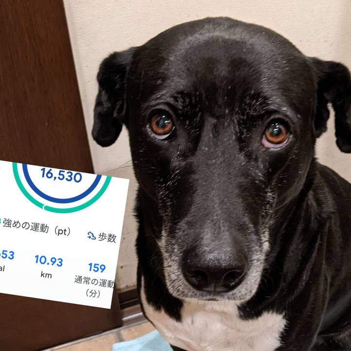 Cfe6b416 7d92 46e1 ad1b eb52fe1ed65c 1707391782836