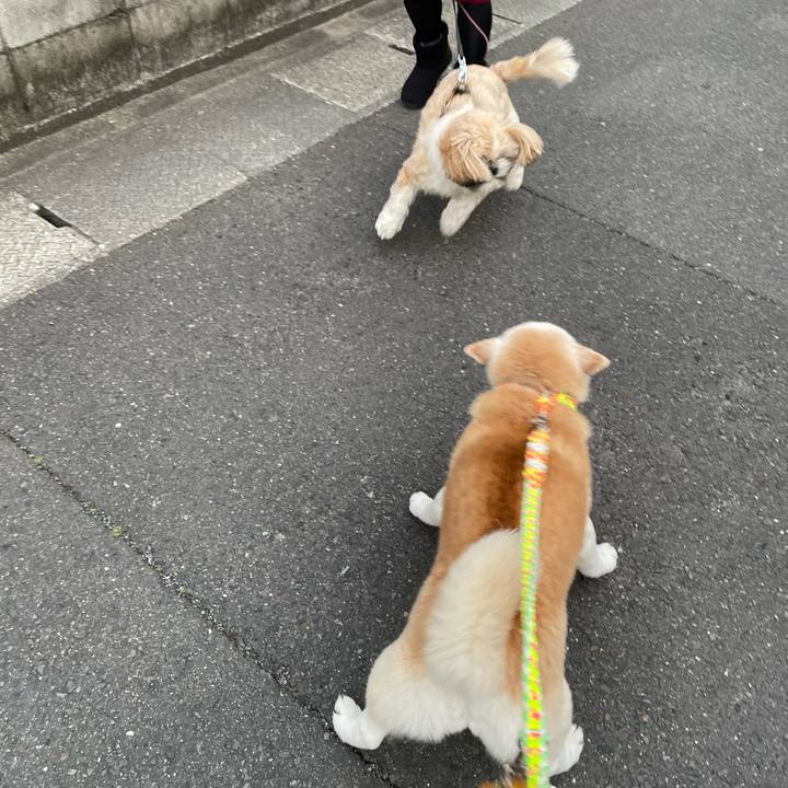 Cfe6c8b6 546c 4d77 b571 3038f5984a64 1646782509458