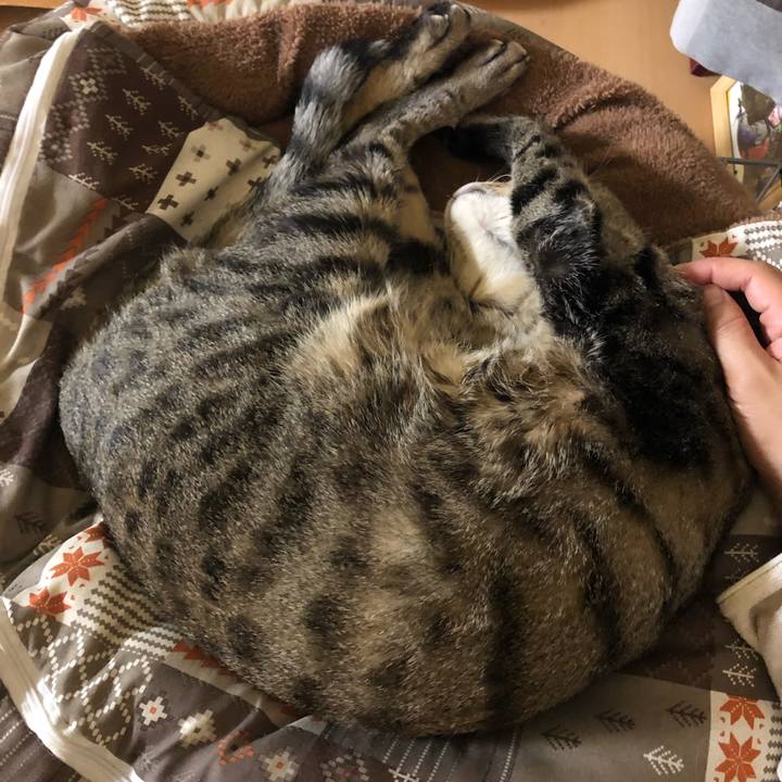 Cfe6fb5b a4d8 49ed bdee 4465ca642c17 1557716606034