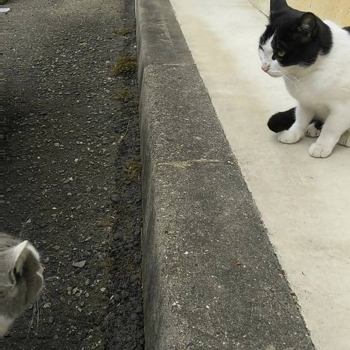 Cfe72cbb 15b8 4408 b0f2 73e26bdee743 1511935395212