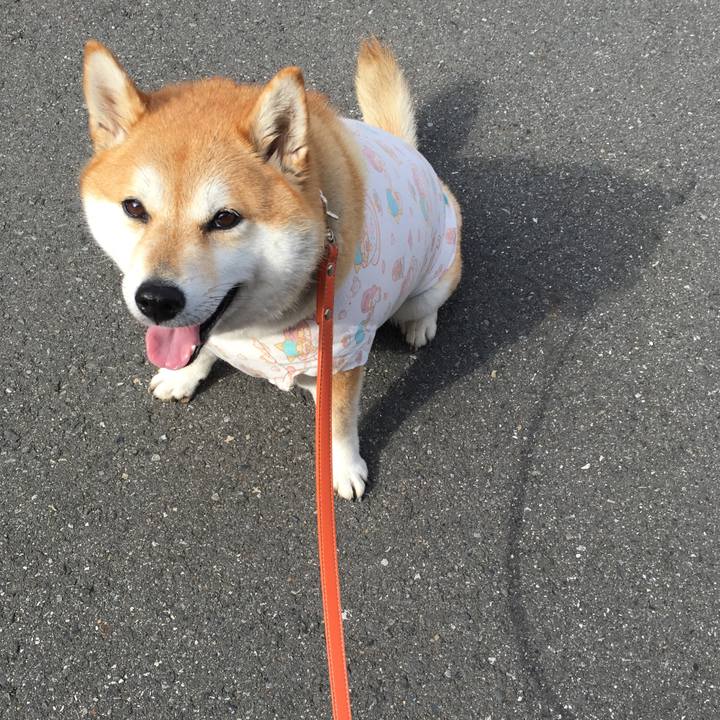 Cfe752d3 d5c9 4a20 a552 f5c4f9d08e9b 1570061052998