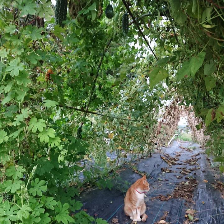 Cfe76640 8423 46fc 8e65 e96668405155 1568969998374