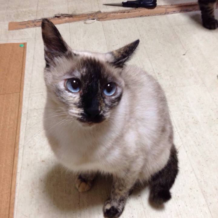 Cfe767d6 6988 41e7 b4cc 42205937c782 1513296152059