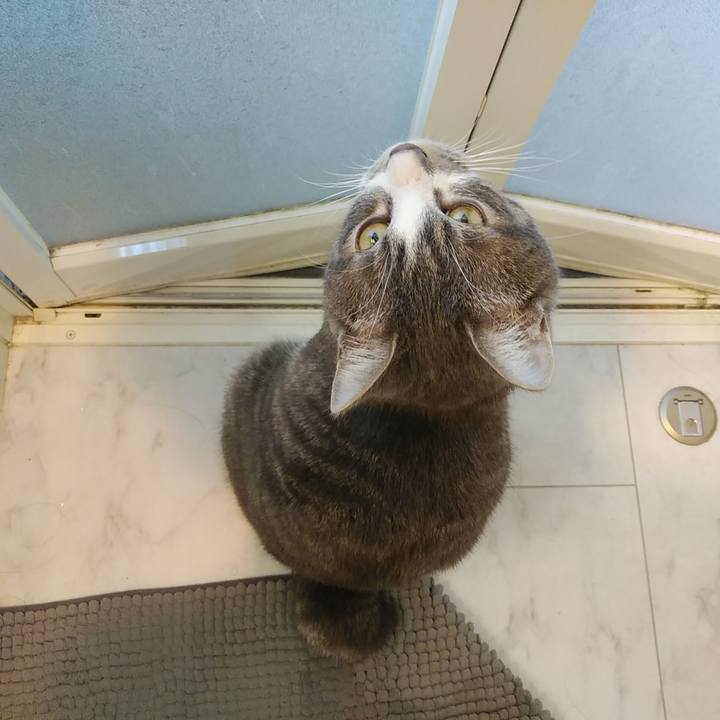 Cfe7af3a 6564 45f6 b5a8 088ceca76b95 1580425502157