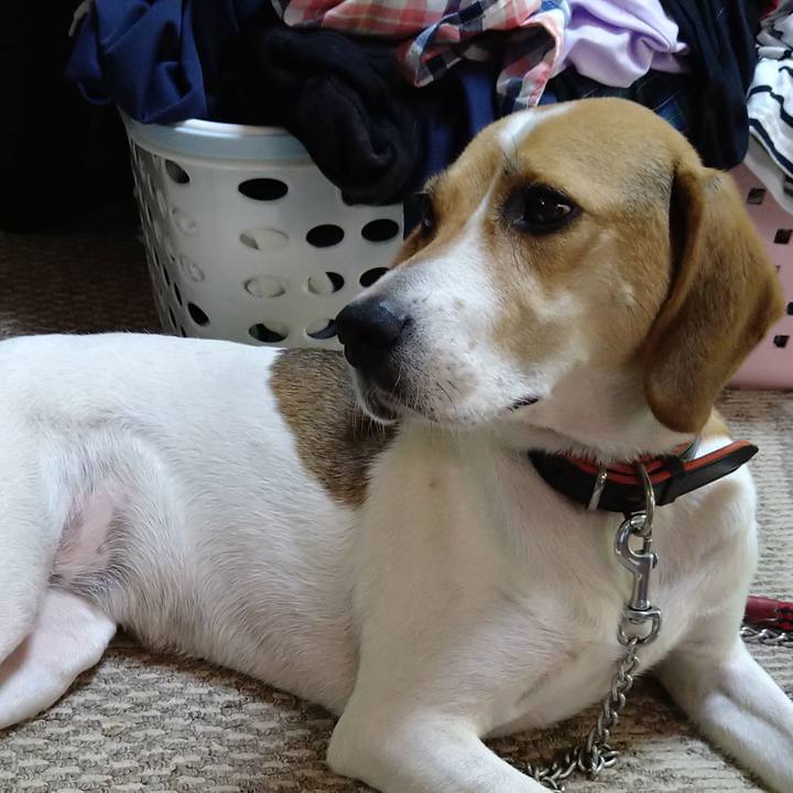 Cfe7c2e6 44a6 41ba 9223 fd0c73ac6bec 1627196990005