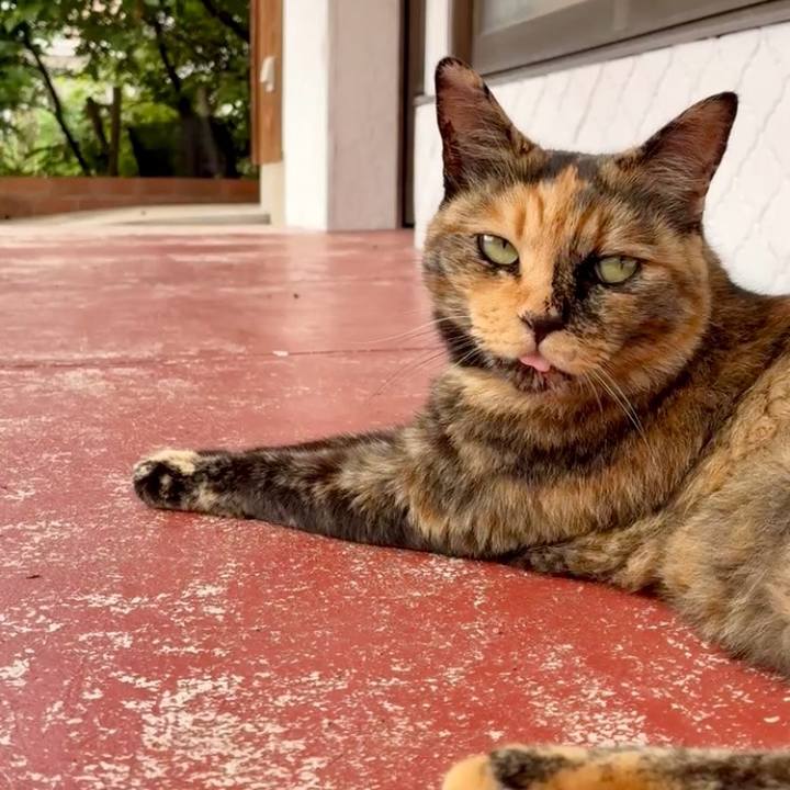 Cfe7cbe5 9169 4848 b397 b71db4dd5170 1752029965610