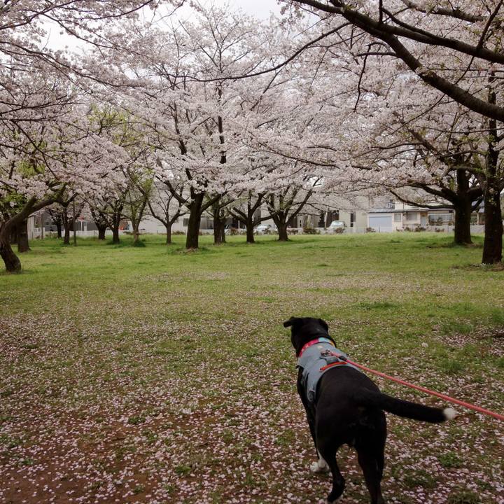 Cfe7d14b 4f00 4a87 af0a 4aa7692f4541 1744246145026