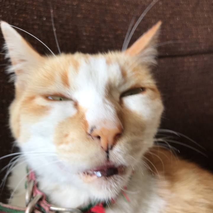 Cfe7d2fe 8bdc 4f45 95fe 71688f155d69 1526176626253