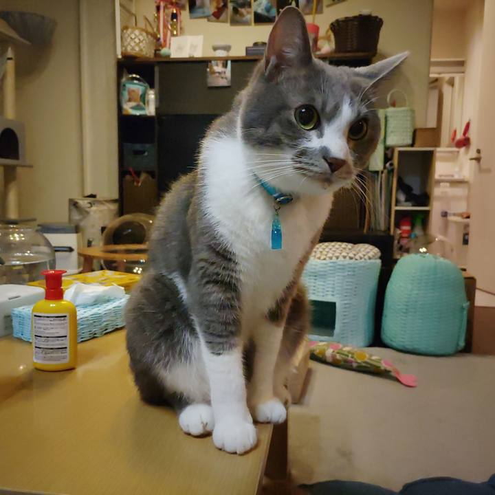 Cfe7f7a6 7b38 4d6e 912c c880928f0802 1656423107975