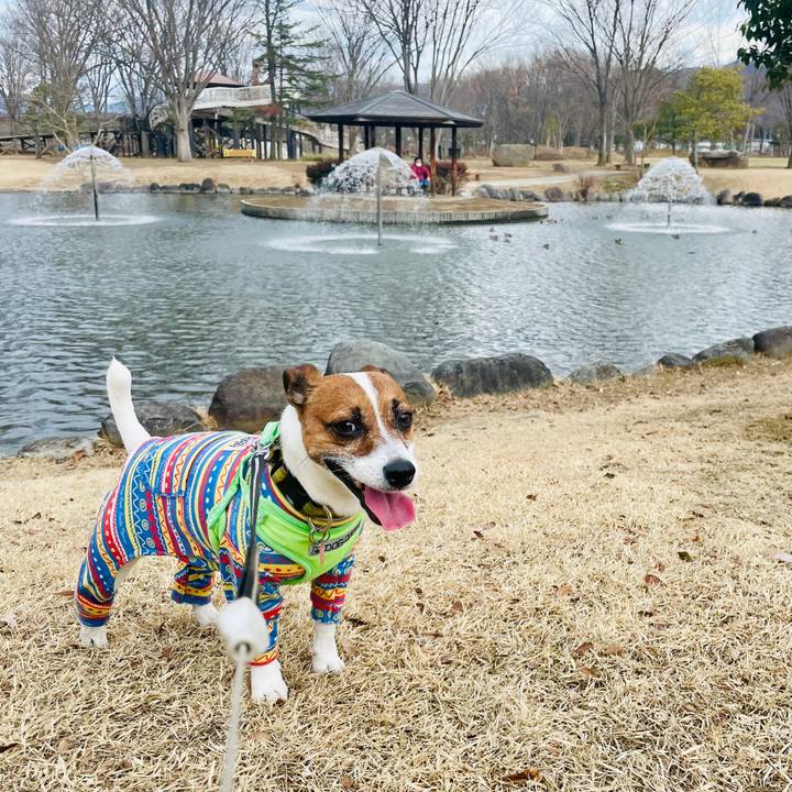 Cfe80dcc 80ad 4c8f b4b8 d0b67fa0df4f 1740635410032