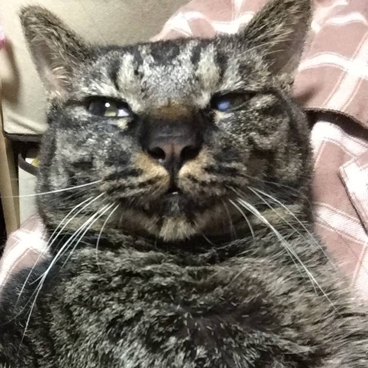 Cfe844fb 4dc5 4624 94d1 59e3a1cc7881 1592567888040