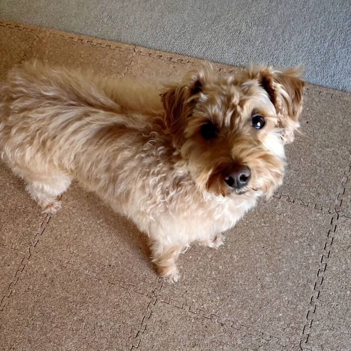 Cfe84f0b a7d5 4df4 91f7 73545d3ae639 1588198696807