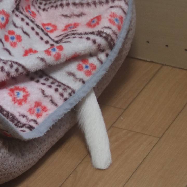 Cfe8a2ce 68b1 4aa7 8cfa 053e68c96ba3 1512561782917