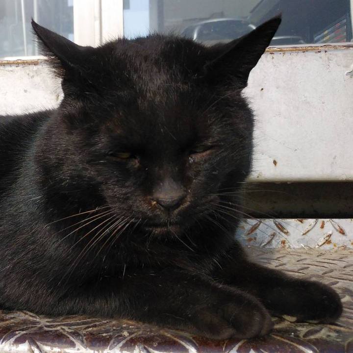 Cfe8b3e8 b113 4b6b b3e3 cf03fcf536af 1581638330098