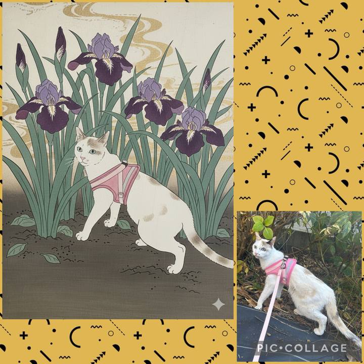 Cfe8b9c0 3d0c 439c 90a3 e1f64cb91044 1767432840727