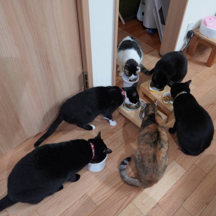 Cfe8fb14 e3c2 4dc4 a8e9 6ce0b170961c 1609160814545