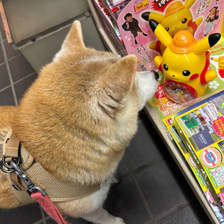 Cfe9083b fc26 4020 98c4 d859305b4ebc 1740430728602