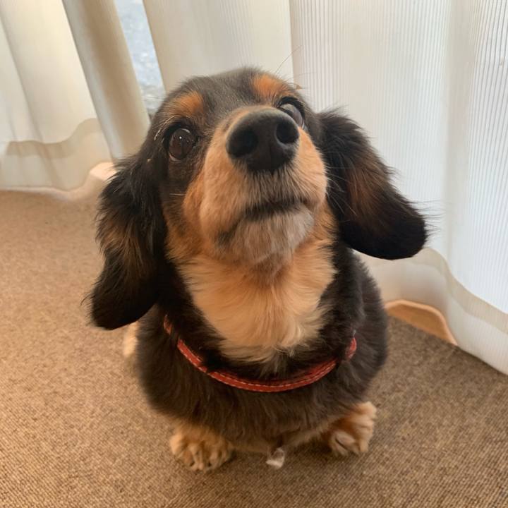 Cfe9447e cb74 4e5d 9079 45d40fb86b80 1555451200272