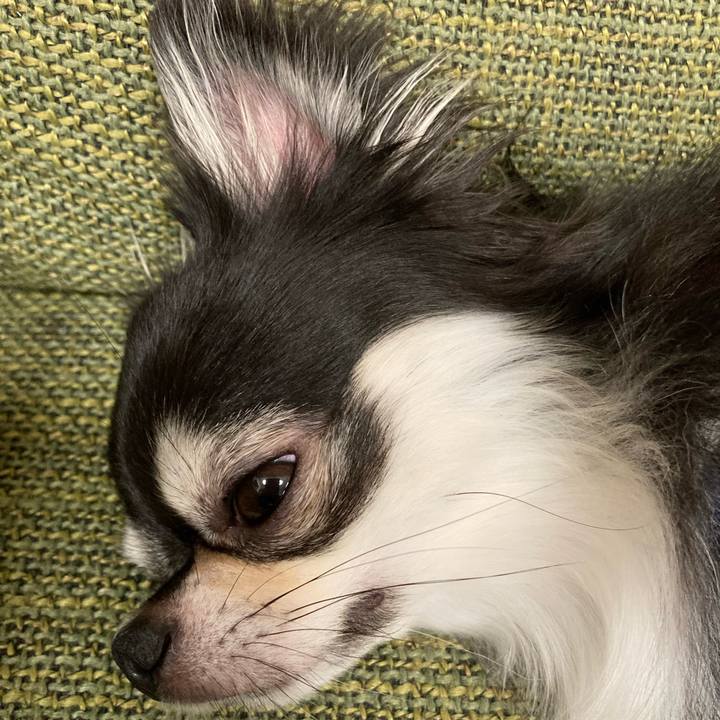 Cfe99f03 f68c 4632 836a 081a50c3ef89 1665323359060